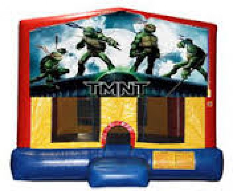 Teenage Mutant Ninja Turtles Module Jumper